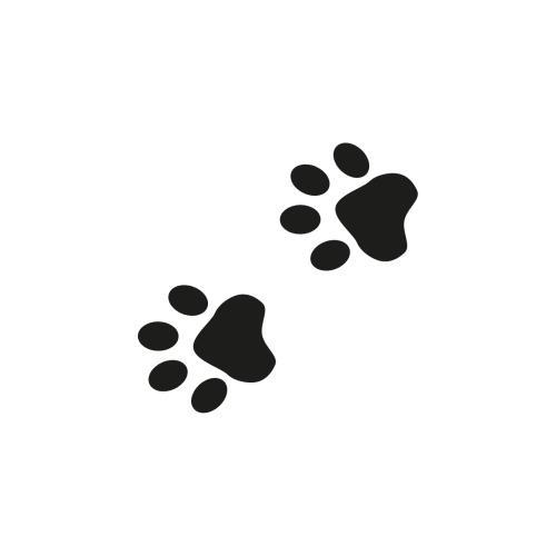 73-paws_2000x